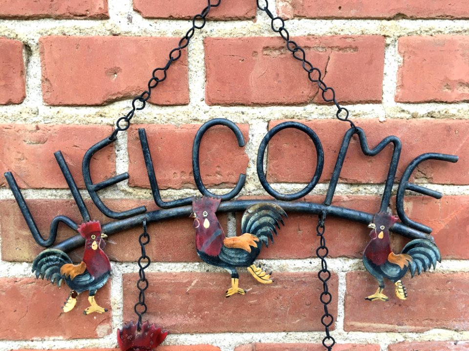 You Are Welcome to Hang Chickens photo