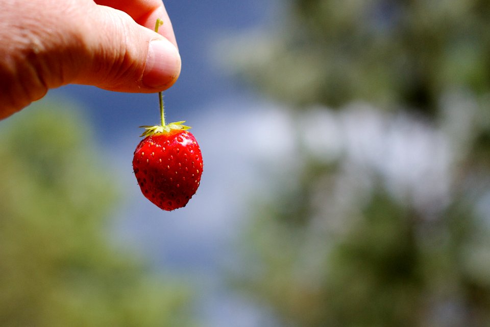 2015/365/250 Strawberry Skies
