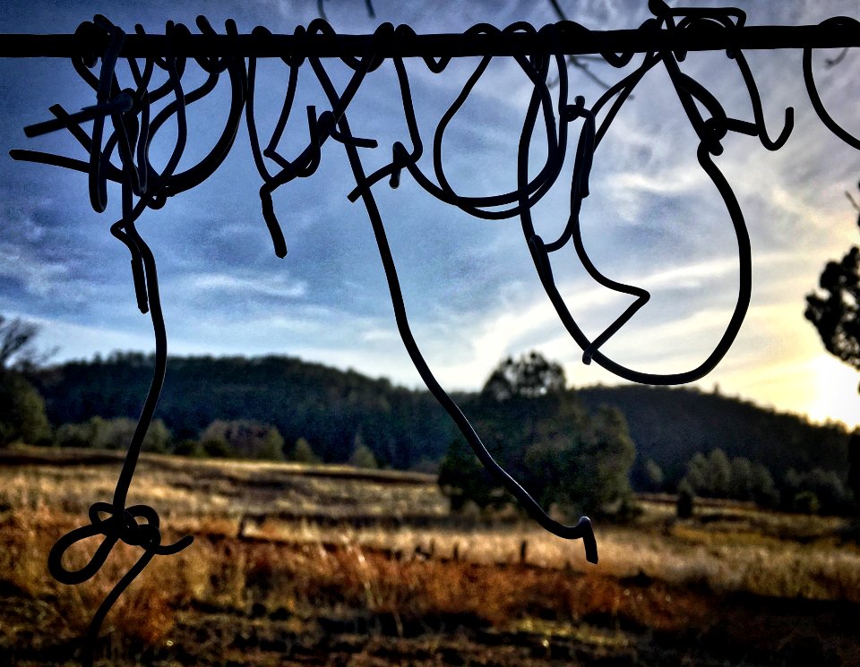 2018/365/93 Fence Line Cursive