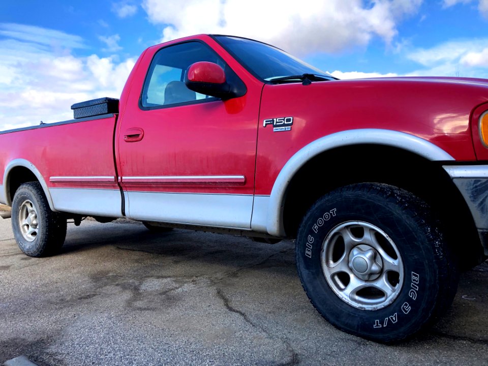 Red Dog Under Big Sky