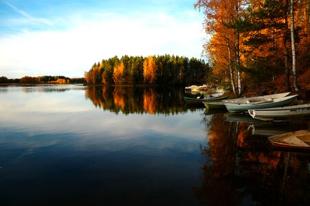 Island forest autumn photo