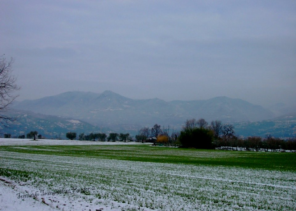 13 Marzo 2010 Nevicata San Felice del Benaco Brescia Lombardia Italia