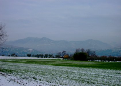 13 Marzo 2010 Nevicata San Felice del Benaco Brescia Lombardia Italia