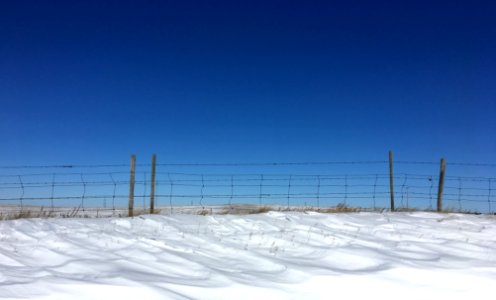 2019/365/64 Waving to the Sky photo