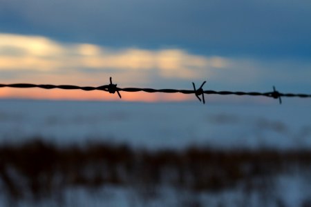 Three on a Wire