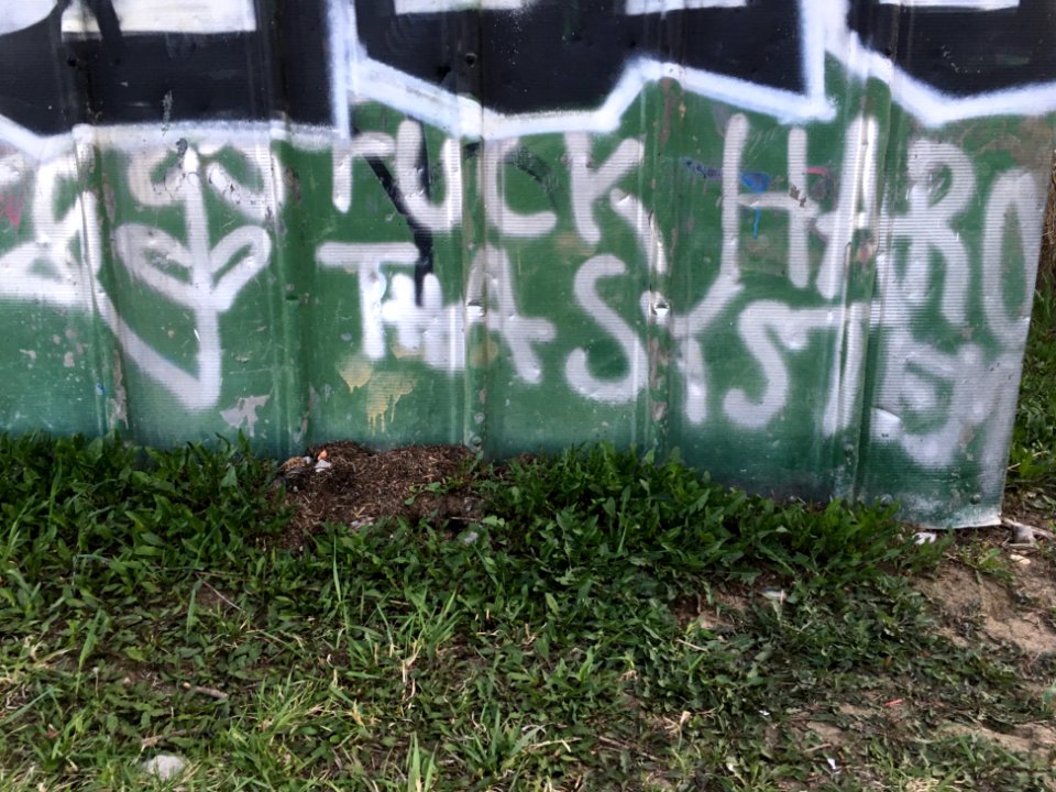 Eff The System