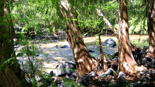 LA CONSTANCIA (1)