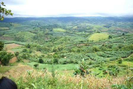 DAVAO TO BUKIDNON HIGHWAY photo