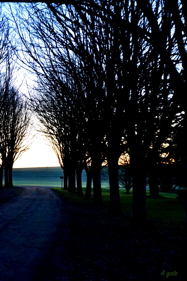 Chemin vers la lumière