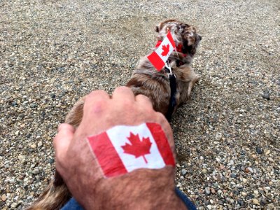 Prepping For Our First Canada Day