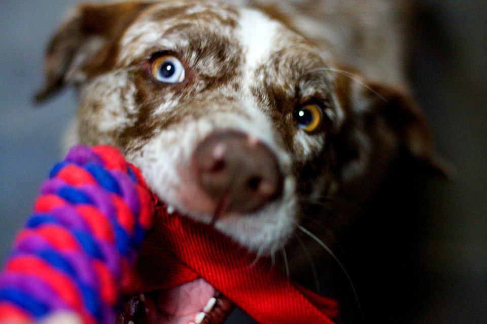 No, *You* Have Crazy Eyes