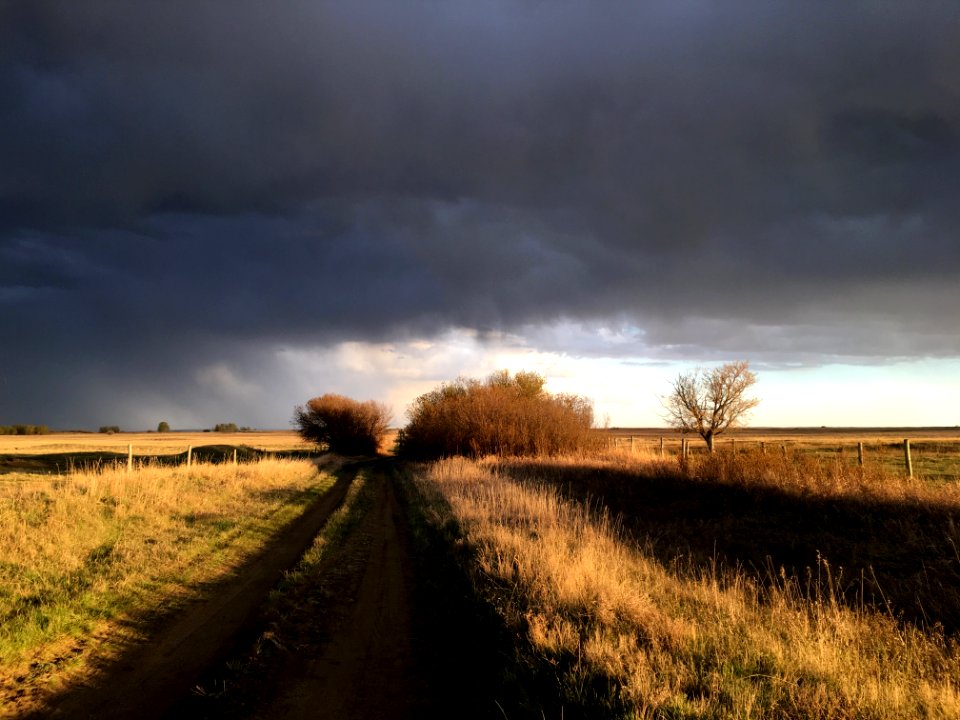 Down the Road a Bit