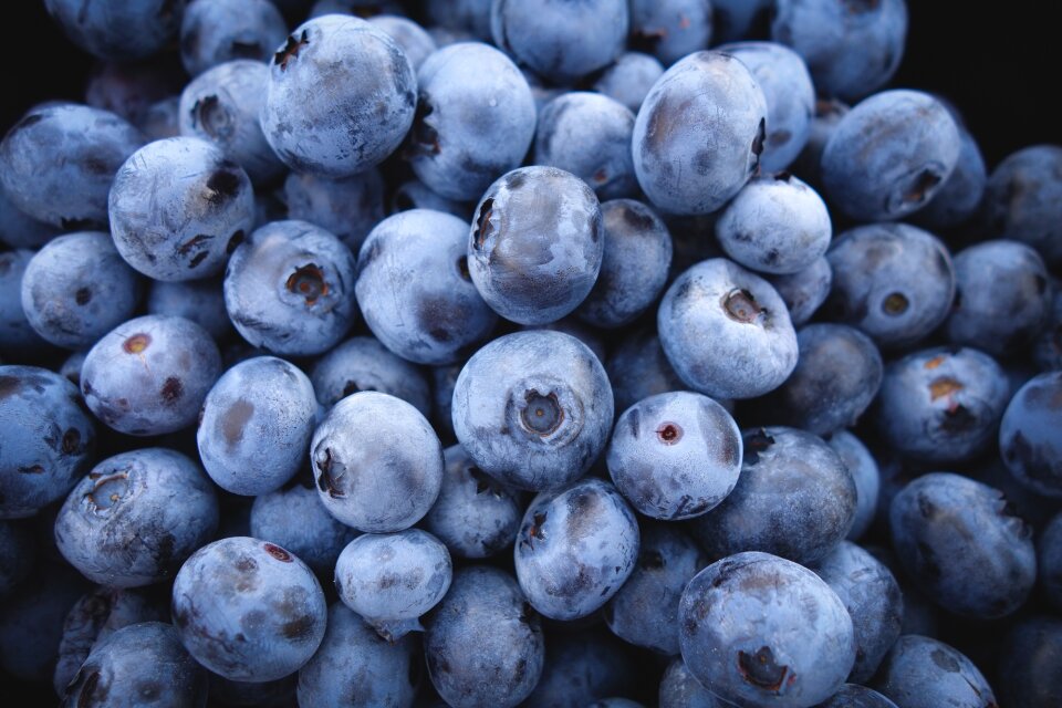 Berries blue organic