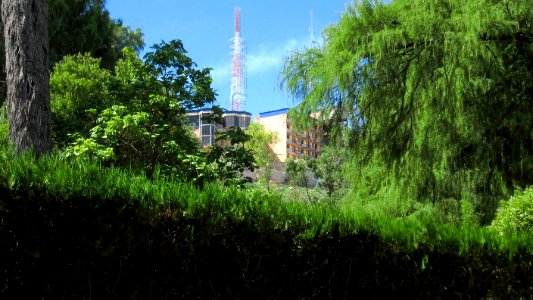 DURANGO  CALLES 2006 5   (19)