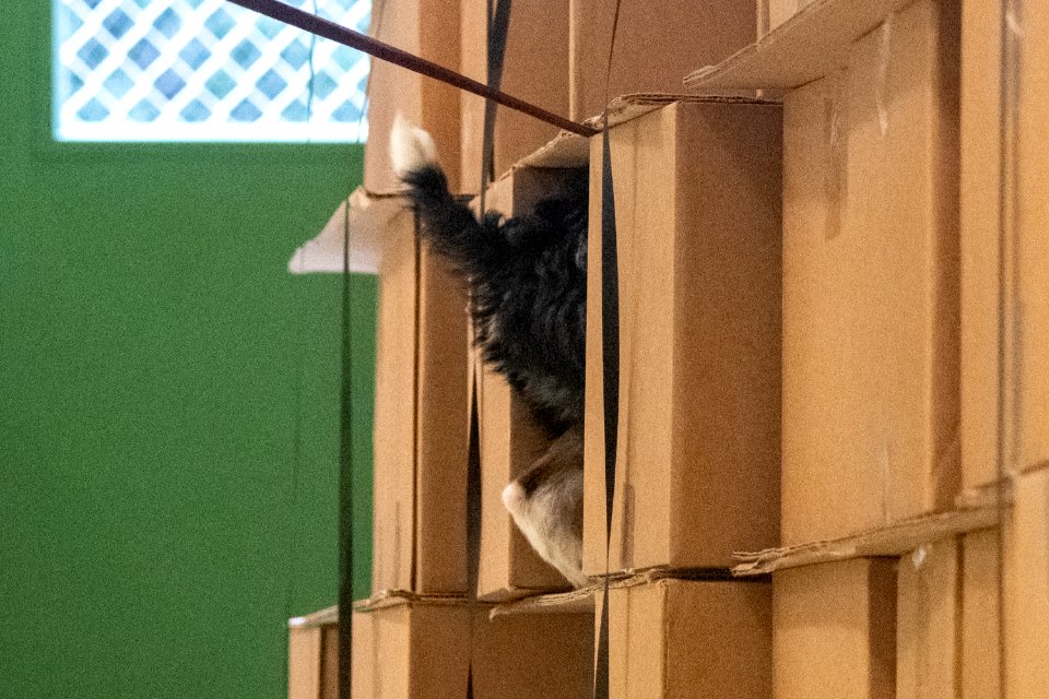 20190404-OSEC-LSC-0318
