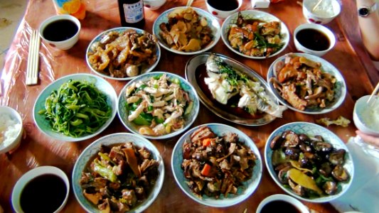 094-肇慶三天(2011-04-23)-第二天
