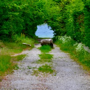 On the trail of wisdom//Sur le sentier de la sagesse