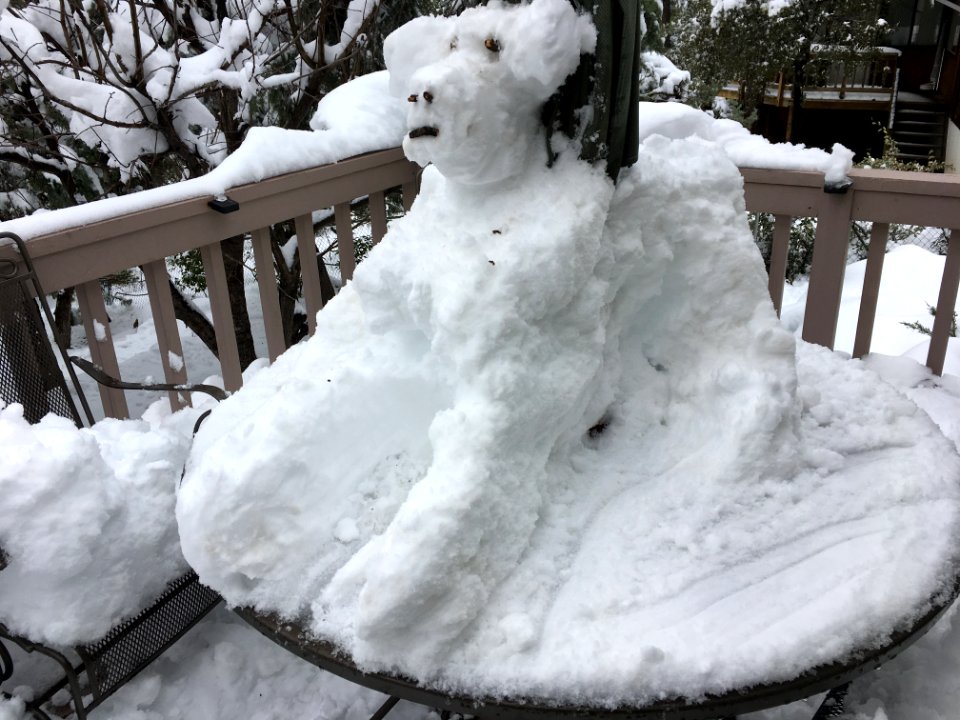The Traditional Snow Dog