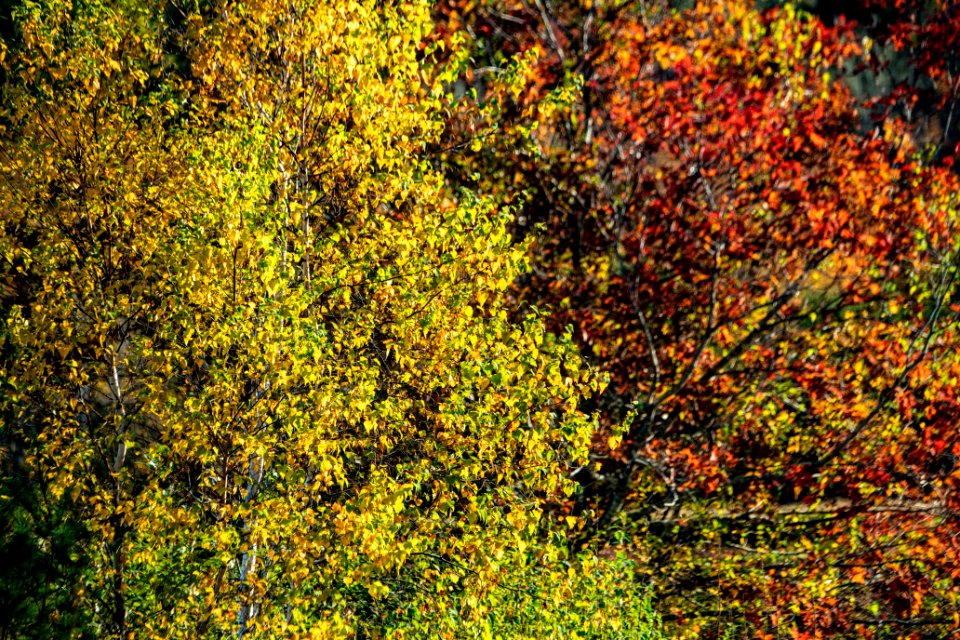 20191019-NRCS-LSC-2060