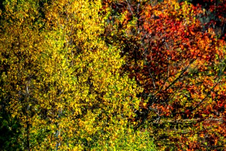 20191019-NRCS-LSC-2060