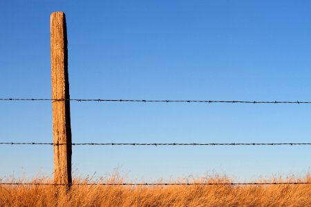 Sentry and Support