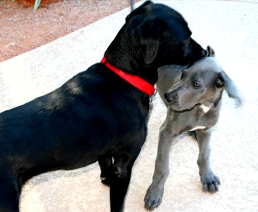 Cadu Meets Her Cousin