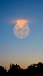 UFO in my garden