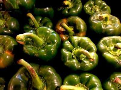 Green vegetables garden