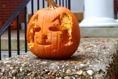 Only One Week Until Nov 8
