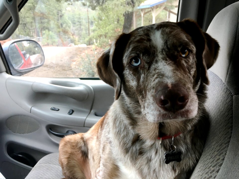 Yes, We Are Going on a Ride