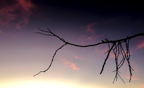 Caressing the Sky