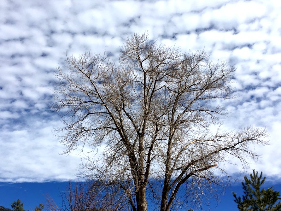 Above the Cloud Line
