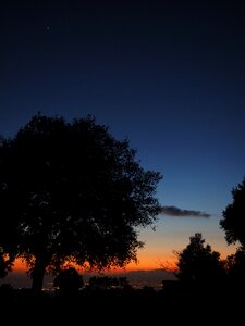 Peaceful dark palma