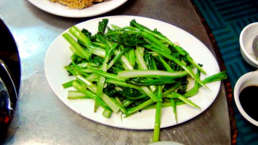 059-肇慶三天(2011-04-23)-第二天