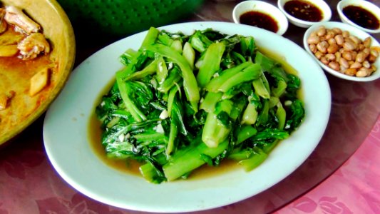 014-肇慶三天(2011-04-22)-第一天