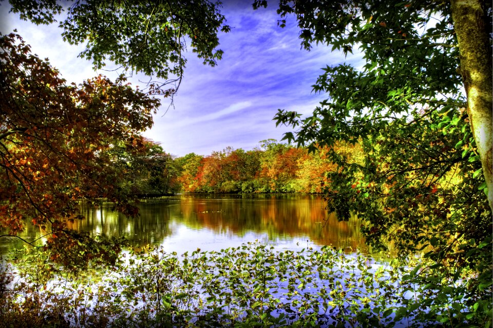 Fall autumn landscape