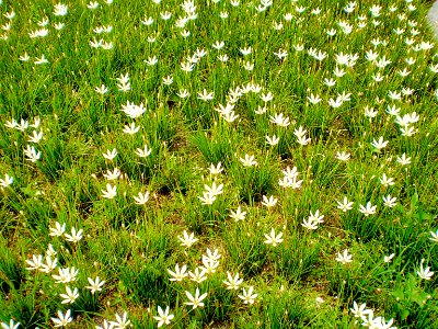 (2009-09-30)濕地公園-09