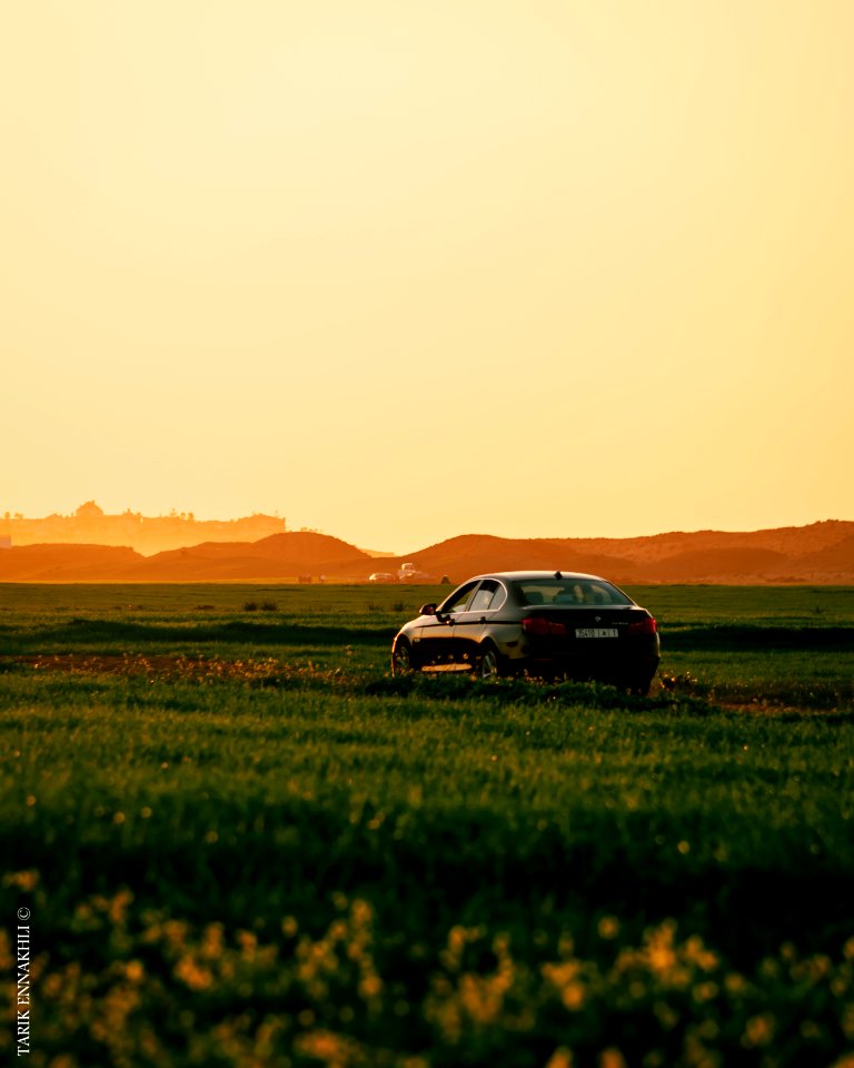 great harmony between nature and the industry