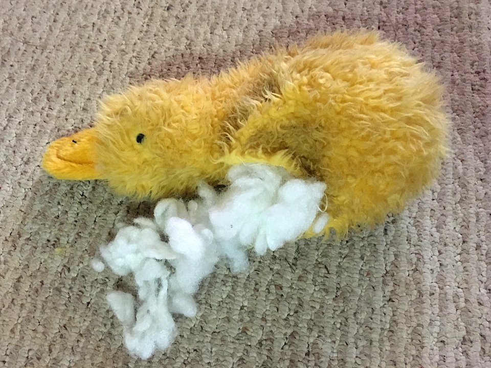 Mortal Wound