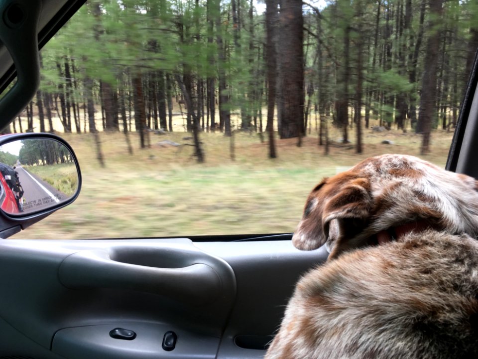 Front Row Seat to the World