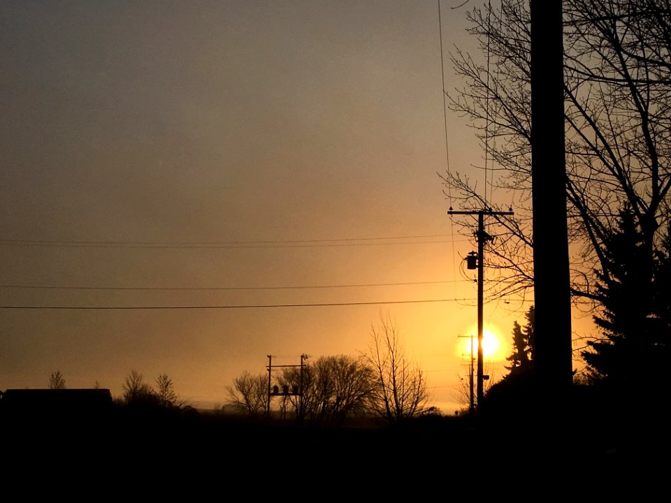 Light Up the Lines