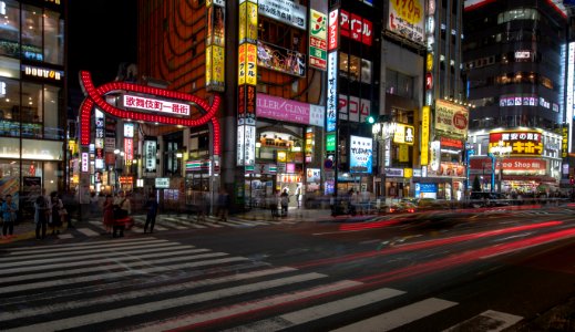 2019 Tokyo Nighttime Neon Pedestrians and Traffic (5)