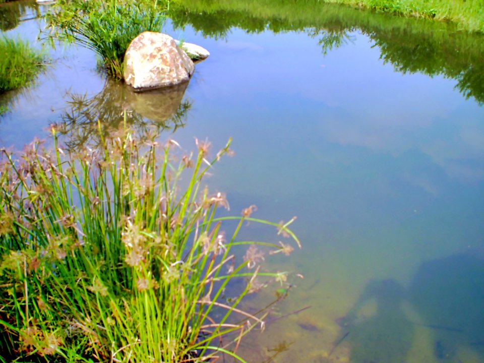 (2009-09-30)濕地公園-03