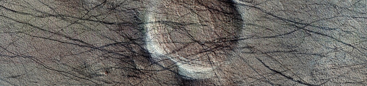 Mars -  Dust Devil Traces