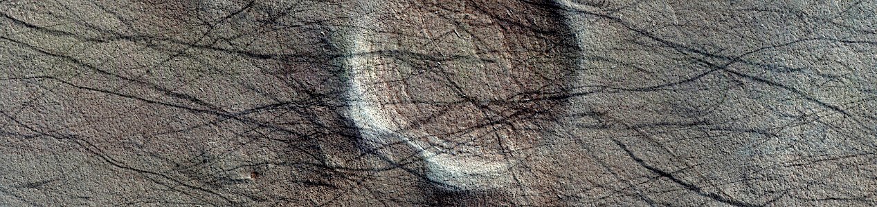 Mars -  Dust Devil Traces