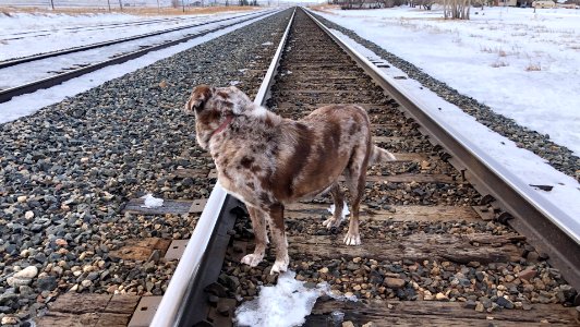 I Hear a Train A Comin'