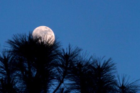 2017/365/364 Yo, Moon, You Cannot Hide