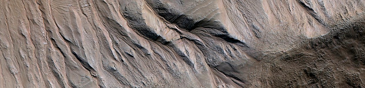 Mars - Gullies in Newton Crater photo