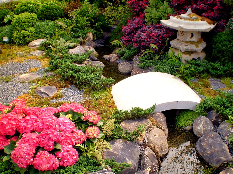 (2008-03-21)維園花展-22