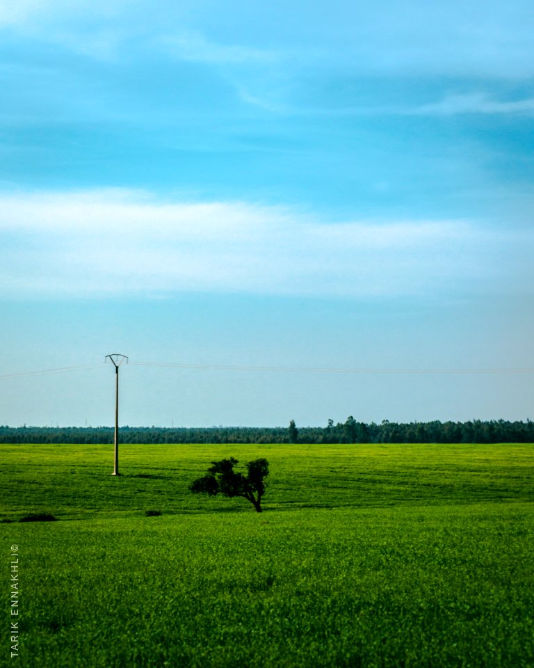 Landscape of Morocco